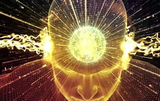 ssap挑戰(zhàn)人機互動科技巔峰 ai獨角獸崛起澳洲